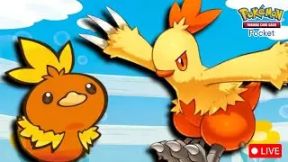 [Master Ball] First Time Blaze Chicken? | Pokemon Pocket