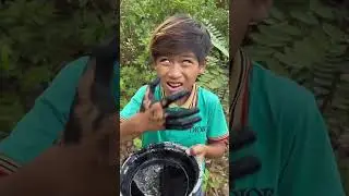 Survival Skills: Simple but Useful injungle #bushcra ft #camping #outdoors#useful #shorts #survival