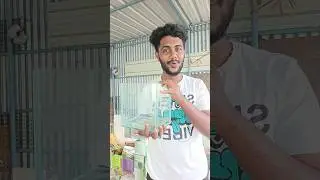 🇮🇳🏡Namma River Fish Breeding Pannalama ✅ | Blue badis Beeding Tamil #trending #viral