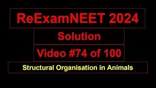 How to identify male cockroach from female cockroach? NEET question ReExam 2024