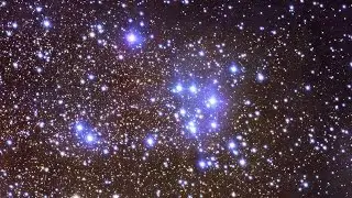 Young Star Cluster is a Perfect Astro-laboratory | Video