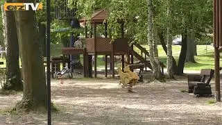 Der Walkteich in Stollberg