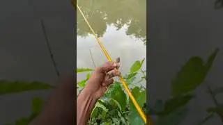Fishing in rainy season