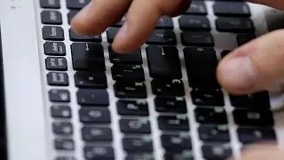 О курсе 