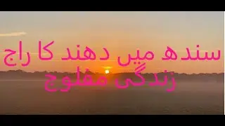 Fog in Sindh | Pakistan | Traffic and Motorways | @earthtvpakistan