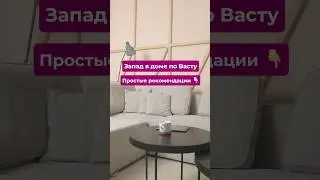 Запад в доме по Васту: что делать?