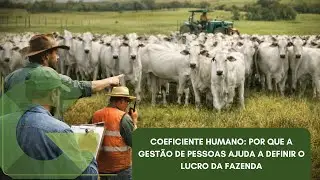 COEFICIENTE HUMANO: POR QUE A GESTÃO DE PESSOAS AJUDA A DEFINIR O LUCRO DA FAZENDA