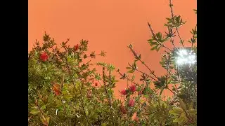 # Episode 1 of Global Warming _   Orange Red Sky over California by Golden Heritage Art Media