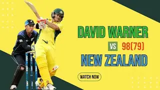 Explosive David Warner vs New Zealand | 8 Fours 4 Sixes | 2nd ODI 2016 | Wellington | Highlights
