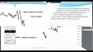 C&oacute;mo colocar &oacute;rdenes en Ninja Trader por Francisca Serrano