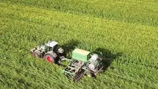 TWB Farms Zerotill beans into cover crops 2018