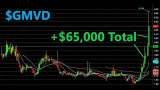 +$65,000~ Profit on two $GMVD Trades