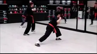 Wu Xing Ba Fa Quan - KUNG FU KENPO - by M&deg; Raffaele Bernabei