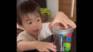 うちで『ケセランパサラン』を飼い始めたお話(笑)【2歳4ヶ月目】
