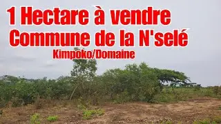 👉 UN HECTARE À VENDRE À KINSHASA DANS LA COMMUNE DE LA N'SELÉ,AU QUARTIER DOMAINE/KIMPOKO