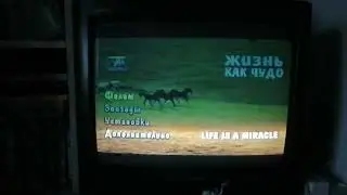 Открытие диска Жизнь как чудо