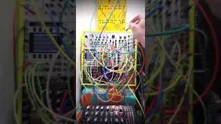 Worm Music 🪱  #electronicmusic #modular  #modularsynth #synthesizer #music #synth #electronic