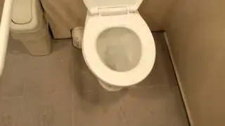 Disable Toilet install MIKI sensor