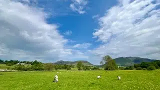 High Rigg in Spring