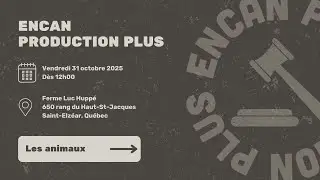 Les animaux - Encan Production Plus - 31 octobre 2025
