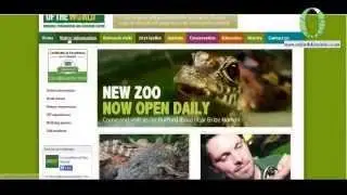 Crocodiles of the World