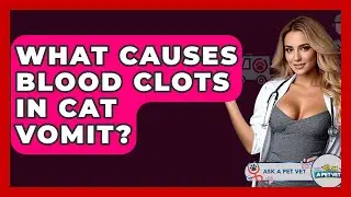 What Causes Blood Clots In Cat Vomit? - Ask A Pet Vet