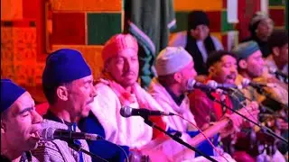 ميمونة | المعلم أمين الداودي - مهرجان كناوة وموسيقى العالم بالصويرة 2025