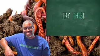 How To PREPARE WORM CASTINGS For Gardening Vegetables