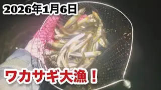 【ワカサギ掬い】2026年初ワカサギ掬いに行ってみると爆獲れした⁉️2026年1月6日
