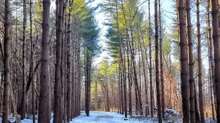 A Winter Walk & Lunch at Max and Erma's: Walnut Woods Metro Park - Max & Erma's