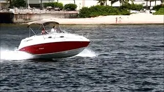 Stingray 250CS | LETY