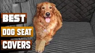 Best Dog Seat Cover In 2025 - Top 10 Dog Seat Covers Review