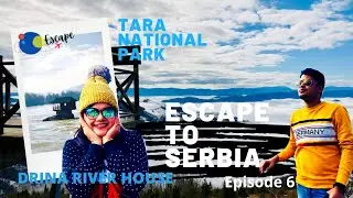 Serbia | Tara National Park | Best Places To See In Serbia| |Europe l Post Covid Travel