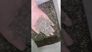 separate pure glass from old solar panel waste.