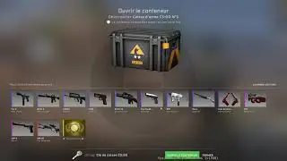 pov: you open 1 CS:GO Weapon Case 2 ...