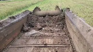 More Manure. JD 2520 loading. JD 50 spreading.