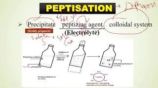 Peptization & Coacervation