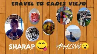 Travelling To Cadiz Viejo(lakawon) || Vlog 7