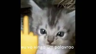 zNyx Angel - Diss Pro Ot&aacute;rio.wav