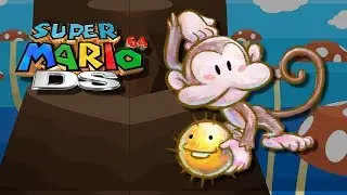 Super Mario 64 DS - Mystery of the Monkey Cage - 115/150 - (NDS)