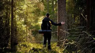 Лес Кемпинг Лесной Отдых 2023