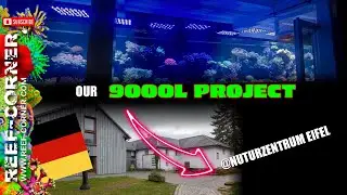 We made a giant floating reef aquarium in Germany!