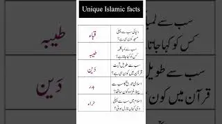Unique Islamic Facts You Didn&rsquo;t Know #IslamicFacts #Quran #HistoryOfIslam