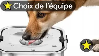 🏆 TOP 3 GAMELLE ANTI ECLABOUSSURE CHIEN 2025 🐾