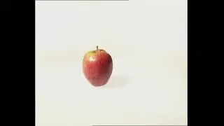 Obstverband: Businesslunch