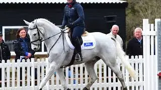 The Billy Stud Stallions: CEVIN Z