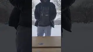 December 7th walk video to Dan Ryan woods part6