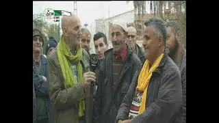 ARREZ NELFETA