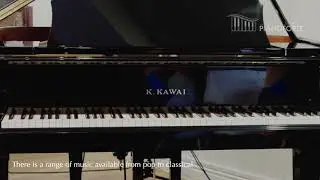 Elton John - Pianodisc