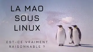 Est-il possible de d&eacute;passer les limites de la MAO sous Linux ?